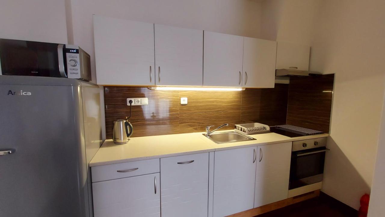 Apartment Moser 1303 卡罗维发利 外观 照片