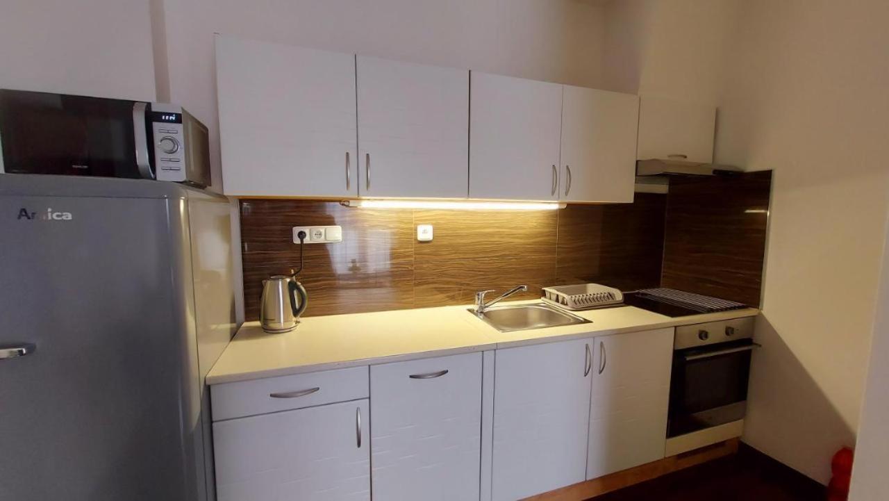 Apartment Moser 1303 卡罗维发利 外观 照片